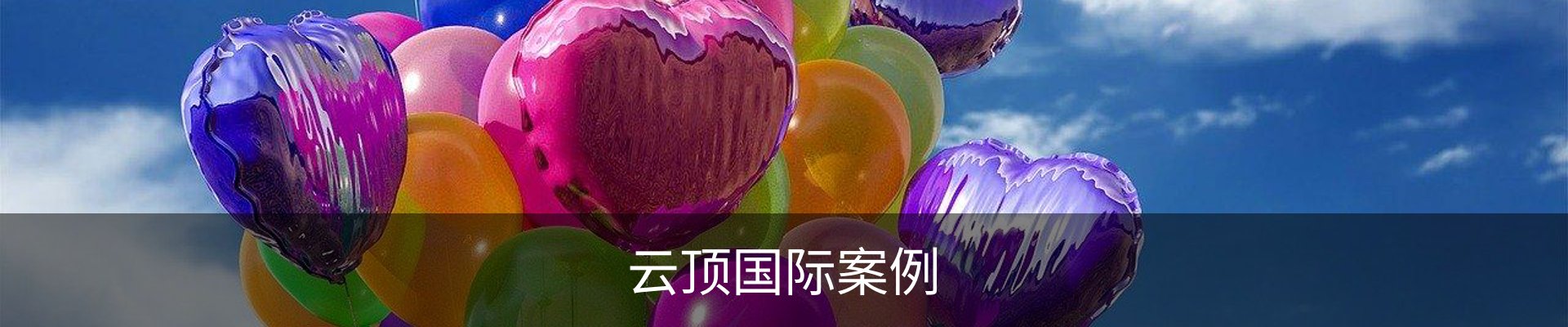 云顶国际案例
