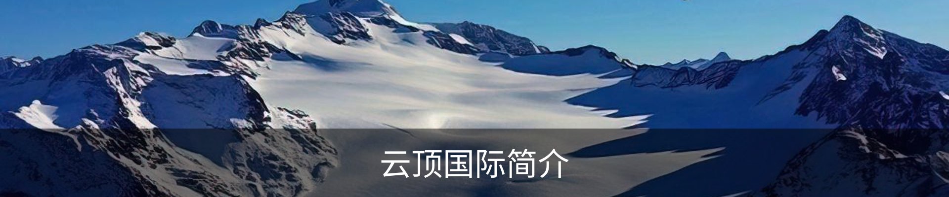 云顶国际简介